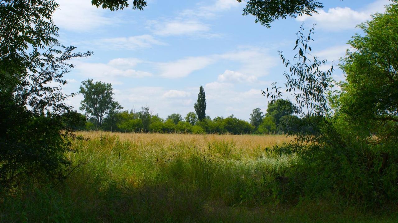Ferienwohnung Fuchsberge Letschin Екстериор снимка