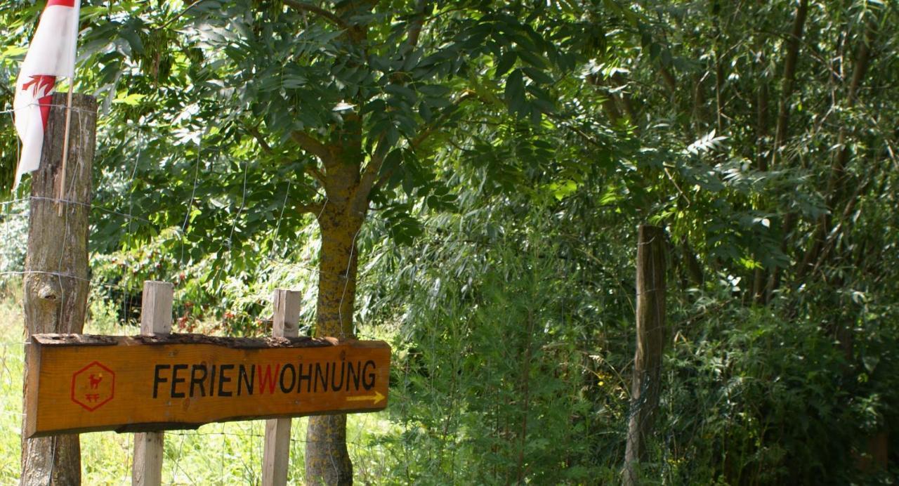 Ferienwohnung Fuchsberge Letschin Екстериор снимка