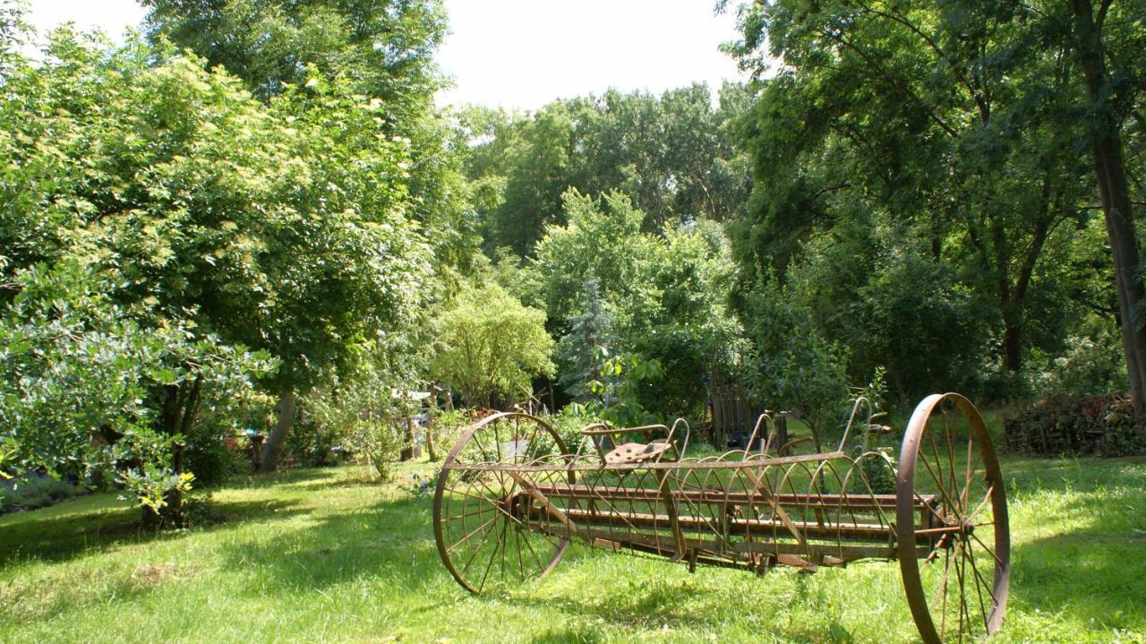 Ferienwohnung Fuchsberge Letschin Екстериор снимка
